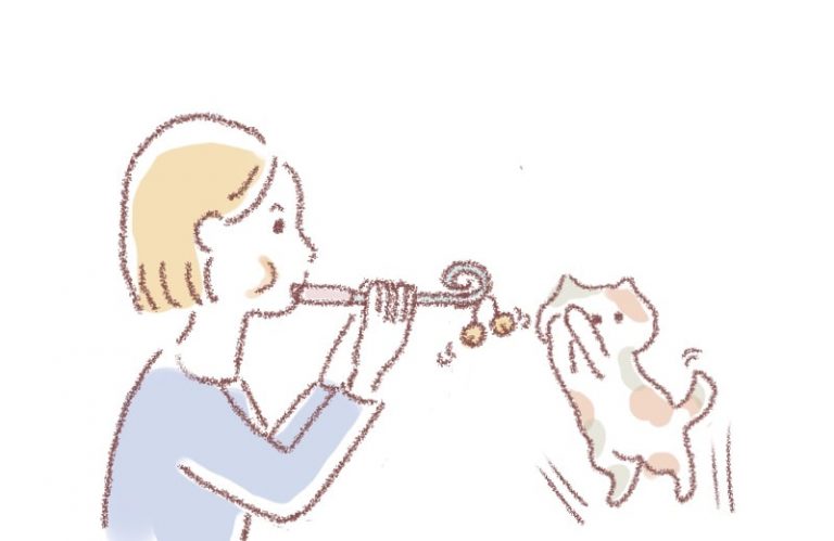 猫とトレーニング