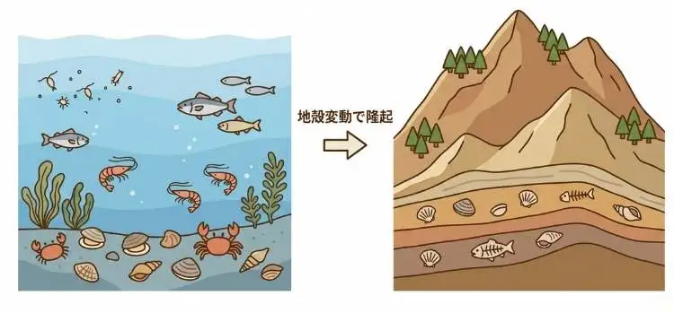 古代の海底イメージ